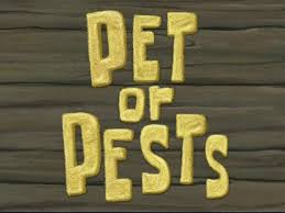 118a Pet or Pests.jpg