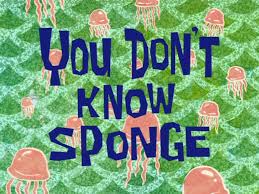 149a You Don't Know Sponge.jpg