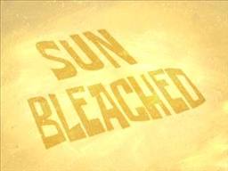 106b Sun Bleached.jpg