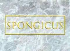 103a Spongicus.jpg