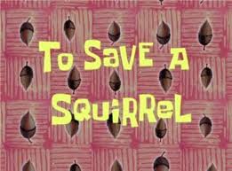 95b To Save a Squirrel.jpg