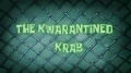 263b The Kwarantined Krab.jpg