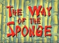 166a Way of the sponge.jpg
