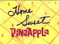 5b Home Sweet Pineapple.jpg