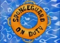 41b SpongeGuard on Duty.jpg